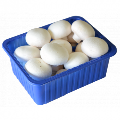 Gomba 500G