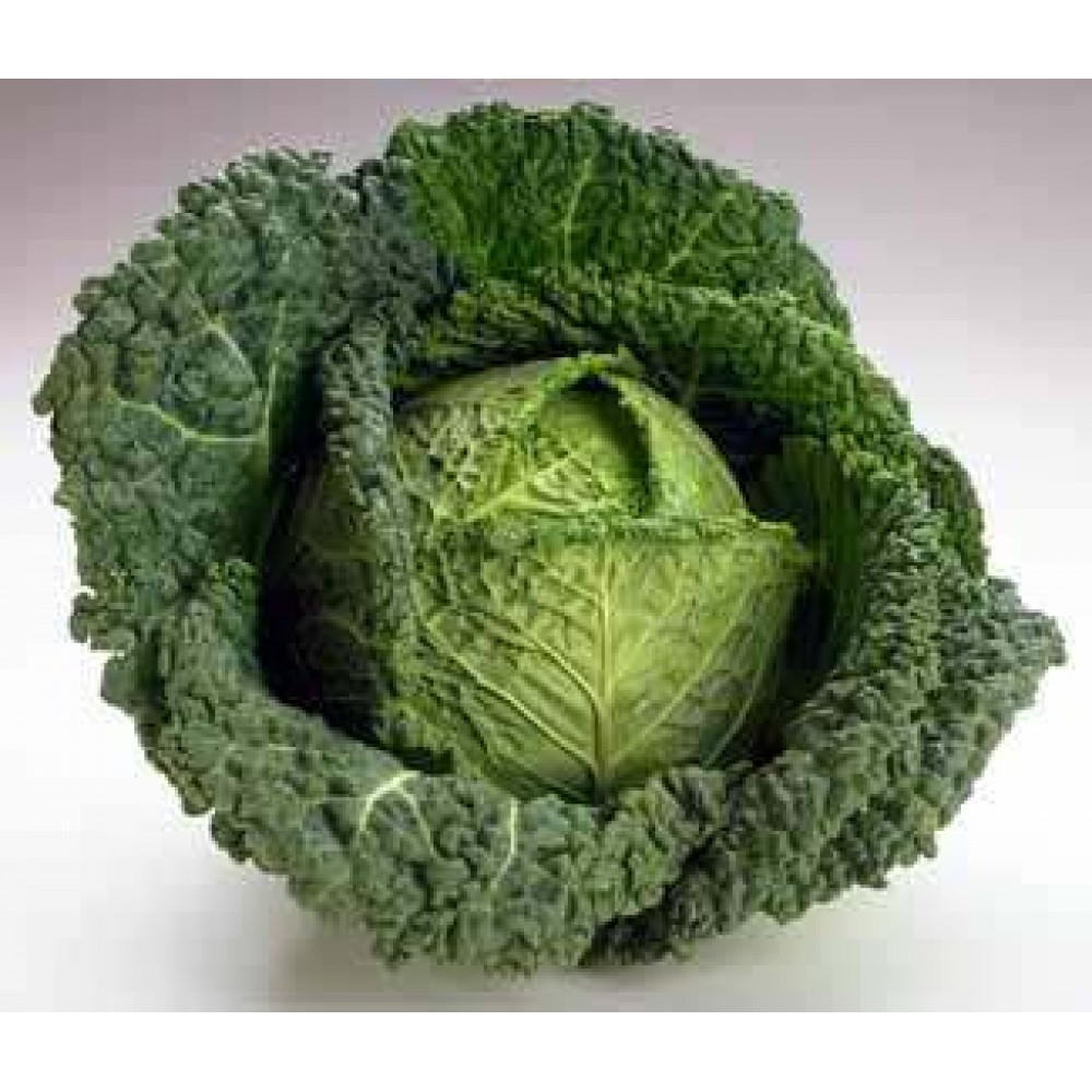 Kelkáposzta Kilós / 10 Dkg