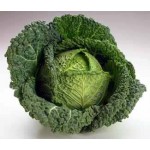 Kelkáposzta Kilós / 10 Dkg