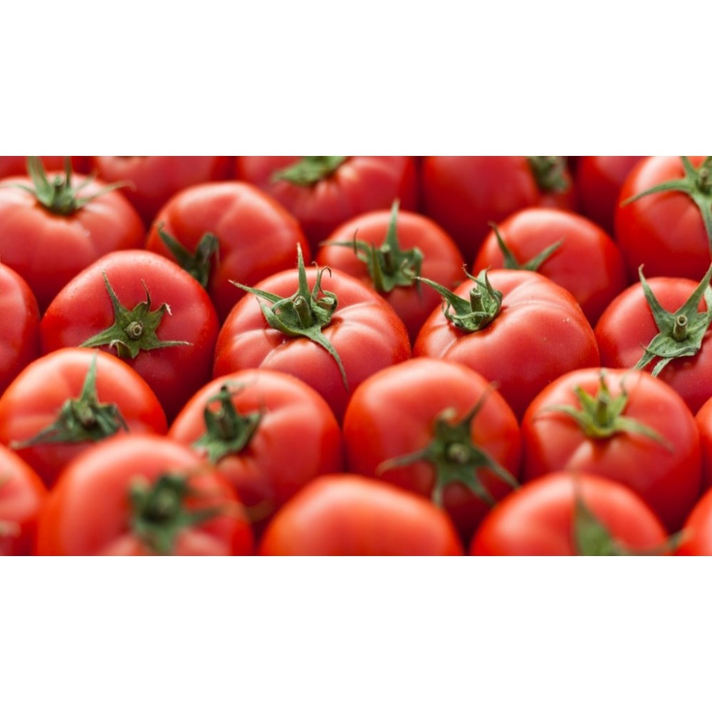 Paradicsom / 10 Dkg