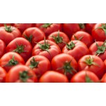 Paradicsom / 10 Dkg